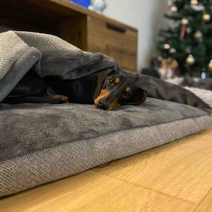 Pewter Grey Tweed Doggy Den Bed, Hooded Dog Bed