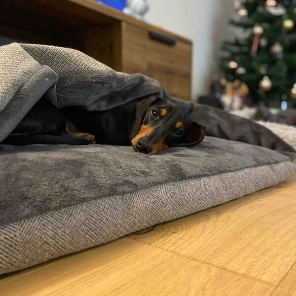 Pewter Grey Tweed Doggy Den Bed, Hooded Dog Bed
