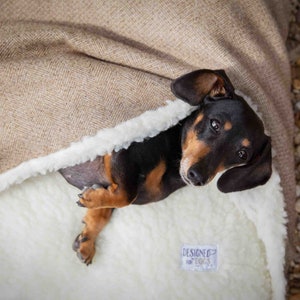 miniature dachshund dog laying in handmade doggy den / cave bed. envelope opening. stone brown herringbone tweed outer lined with cream faux sheepskin. machine washable cover. memory foam and orthopaedic foam crumb inner cushion.