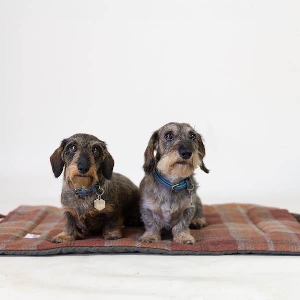Tartan Dog Settle Mat: Warm Spice Travel Bed, Picnic Pad