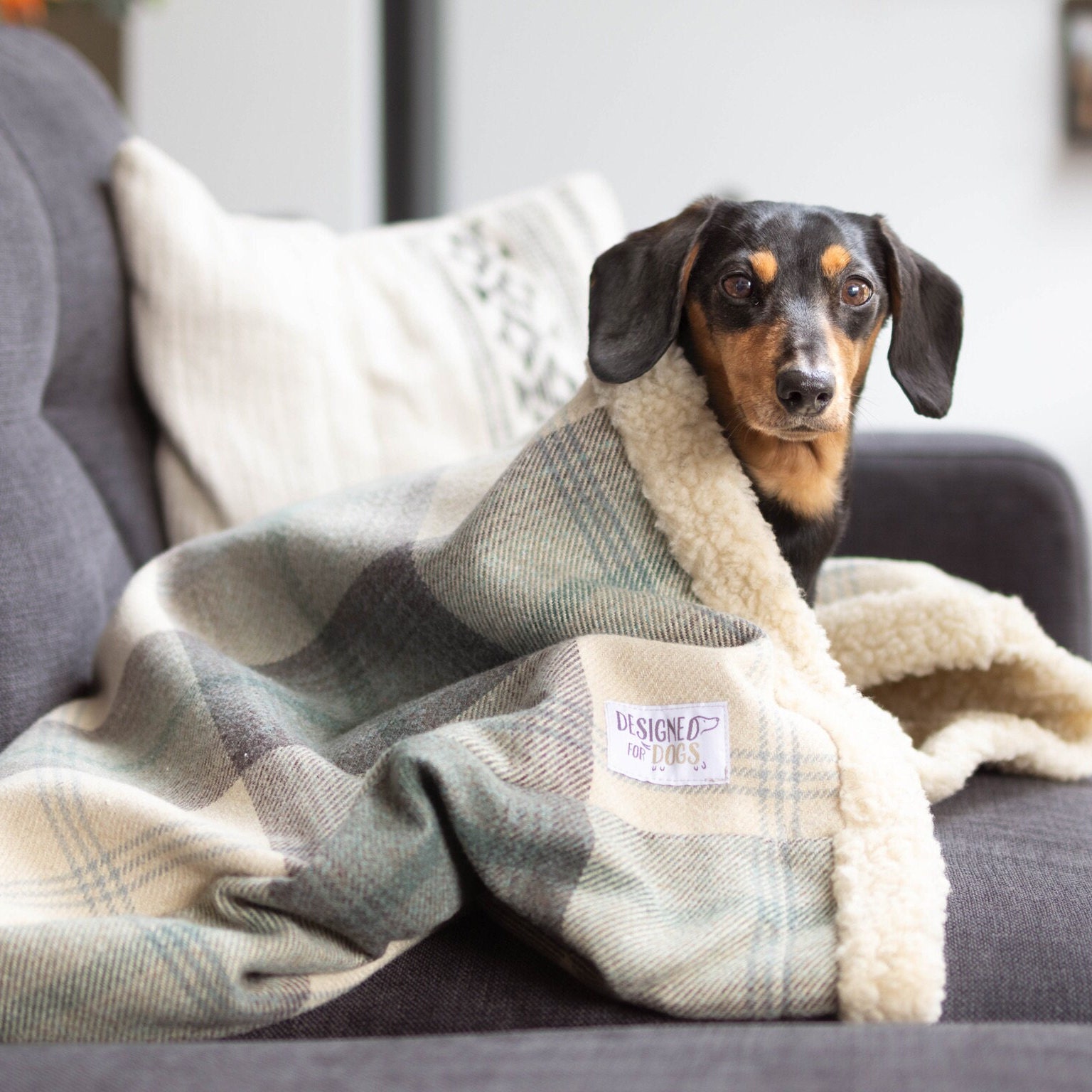 Snuggle blanket for dogs new arrivals