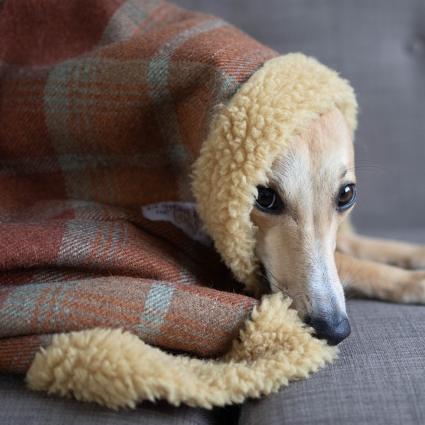 Warm Spice Tartan Personalised Dog Blanket, Sofa Throw, Orange, Copper Check