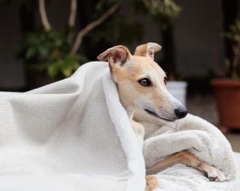 Latte Tweed Dog Den Bed: Beige Plush Fur-Fleece, Calming Burrow Bed