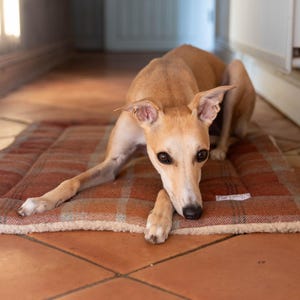 Warm Spice Tartan Dog Mat, Car Boot Dog Bed, Settle Mat, Puppy Crate Mat