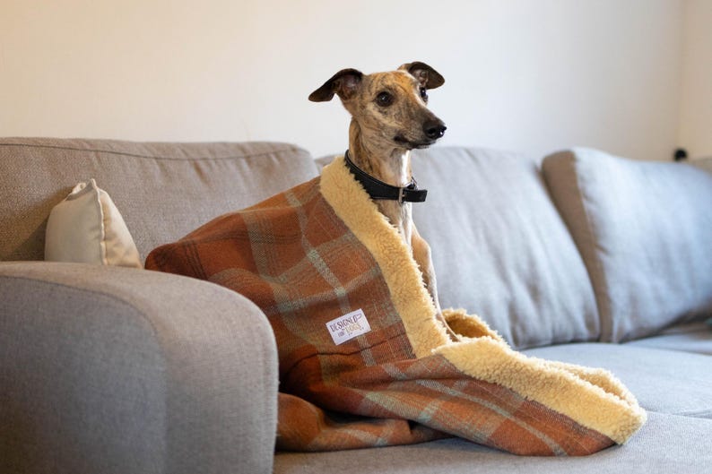 Orange Tartan Dog Snuggle Sack with Toffee Fleece Lining: Warm Fleece Pet Sleeping Bag image 3