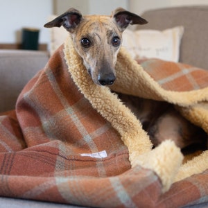 Whippet dog laying inside of warm spice tartan (orange, rust and sage green) dog snuggle sack. lined with toffee faux sheepskin. machine washable. handmade in England.