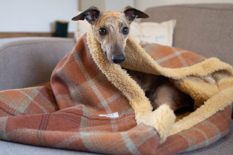 Whippet dog laying inside of warm spice tartan (orange, rust and sage green) dog snuggle sack. lined with toffee faux sheepskin. machine washable. handmade in England.