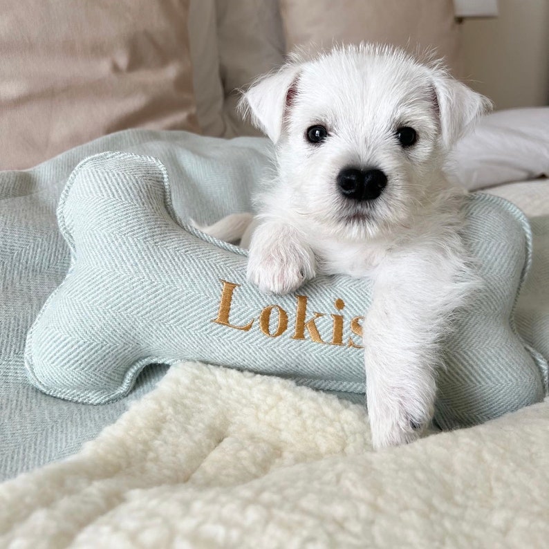 Cute Westie puppy sat with handmade mini bone toy. fabric duck egg blue herringbone tweed. personalised name embroidery in gold thread. matching blanket with reverse side cream faux sheepskin.