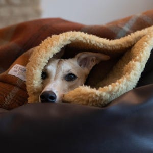 Orange Tartan Dog Snuggle Sack with Toffee Fleece Lining: Warm Fleece Pet Sleeping Bag image 1
