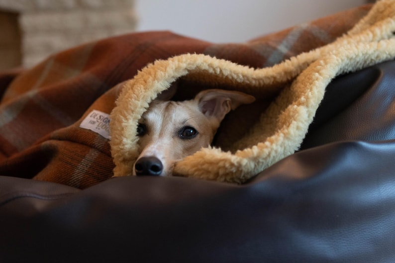 Orange Tartan Dog Snuggle Sack with Toffee Fleece Lining: Warm Fleece Pet Sleeping Bag image 1