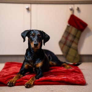 超ソフトフェイクファーフリースブランケット：子犬用スナッグラーソファスロー
