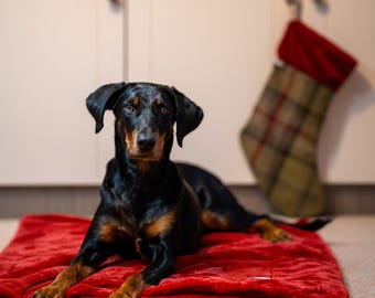 Super Soft Faux Fur Fleece Blanket: Puppy Snuggler Sofa Throw