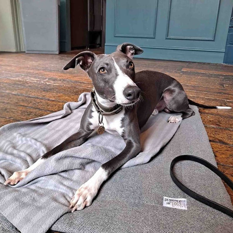 whippet dog laying on pewter grey herring bone teed picnic pad / travel mat in pub. matching straps and handles , waterproof backing and wadding for comfort.