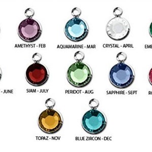 May include: Twelve silver charms with different colored gemstones, each representing a month of the year. The charms are labeled with the gemstone name and month.