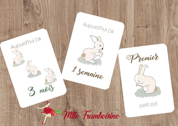 Cartes Etapes Bebe Lapin Baby Shower Animation Naissance Etsy