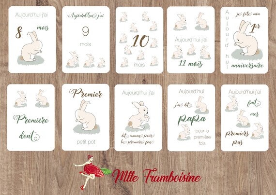 Cartes Etapes Bebe Lapin Baby Shower Animation Naissance Etsy