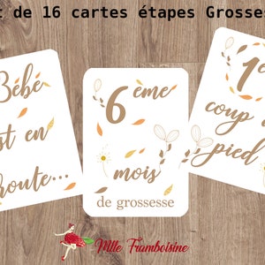 Cartes étapes Grossesse, lot de 16 cartes souvenir photo grossesse , Motif floral, photo réseaux sociaux