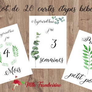 Cartes étapes bébé, baby shower, animation, naissance, lot de 20 , Feuillage nature