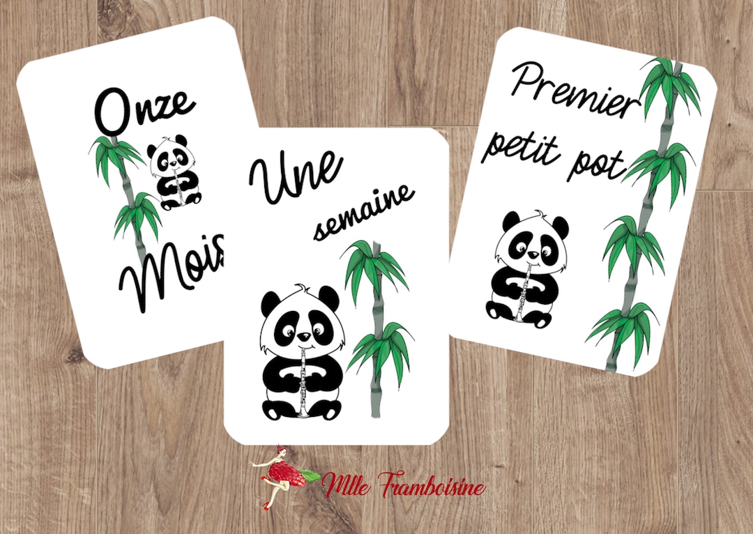 Cartes étapes Bébé - Lot De 20 Cartes Petit Panda, Souvenir Photo Première Année