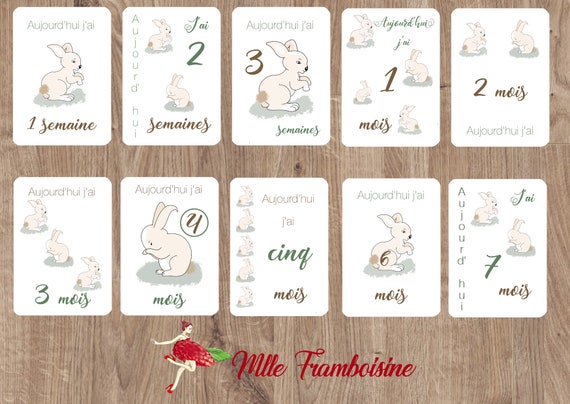 Cartes Etapes Bebe Lapin Baby Shower Animation Naissance Etsy