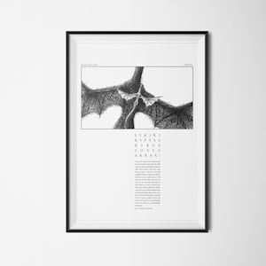 HOTD Fanmade Dragon Minimalist Print - Valyrian - Soves, Arrax! - Arrax and Vhagar - Instant Download