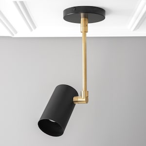 Spot Light - Ceiling Light - Accent Lighting - Directional Lighting - Adjustable Light - Pendant Model No. 4288 bild 1