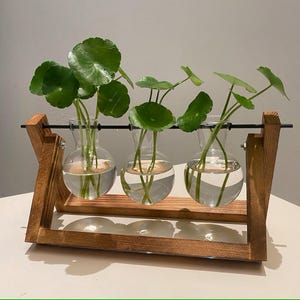 Plant Propagation | Plant Lovers Gift | Gifts For Her | Indoor Plant Cuttings Stand | Garden Lovers