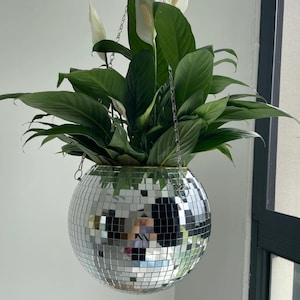 Home decor plant|Sparkling planters|Disco planters