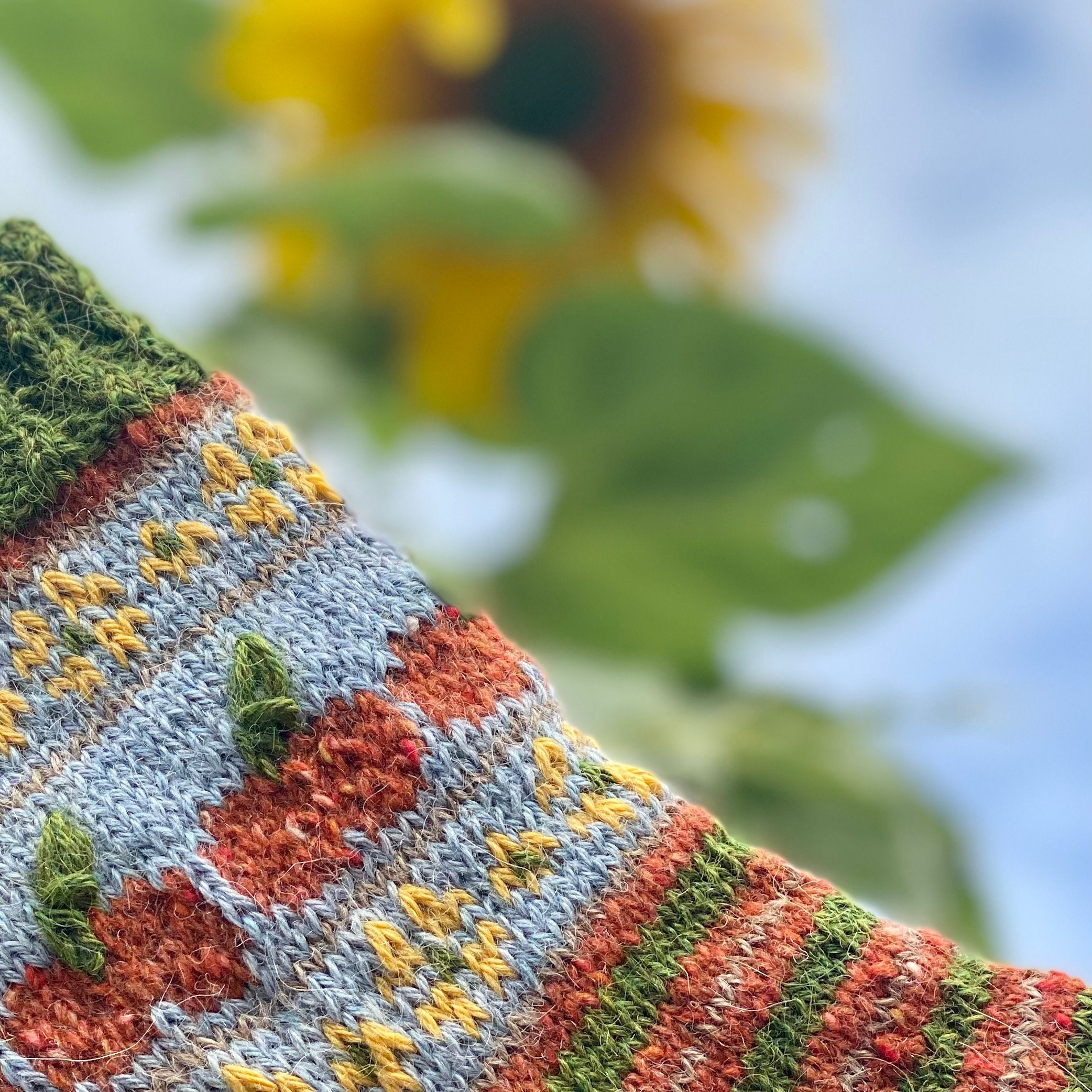 Ravelry: Field of Sunflowers sock set pattern by Stone Knits