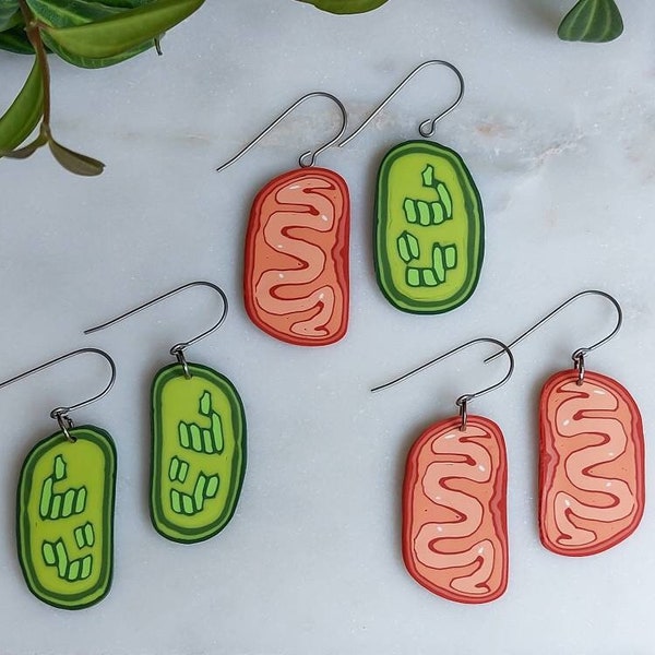 Chloroplast and Mitochondria Earrings, Biology and Science Teacher Earrings, Handmade Clay Nerdy Scientist Titanium Earrings