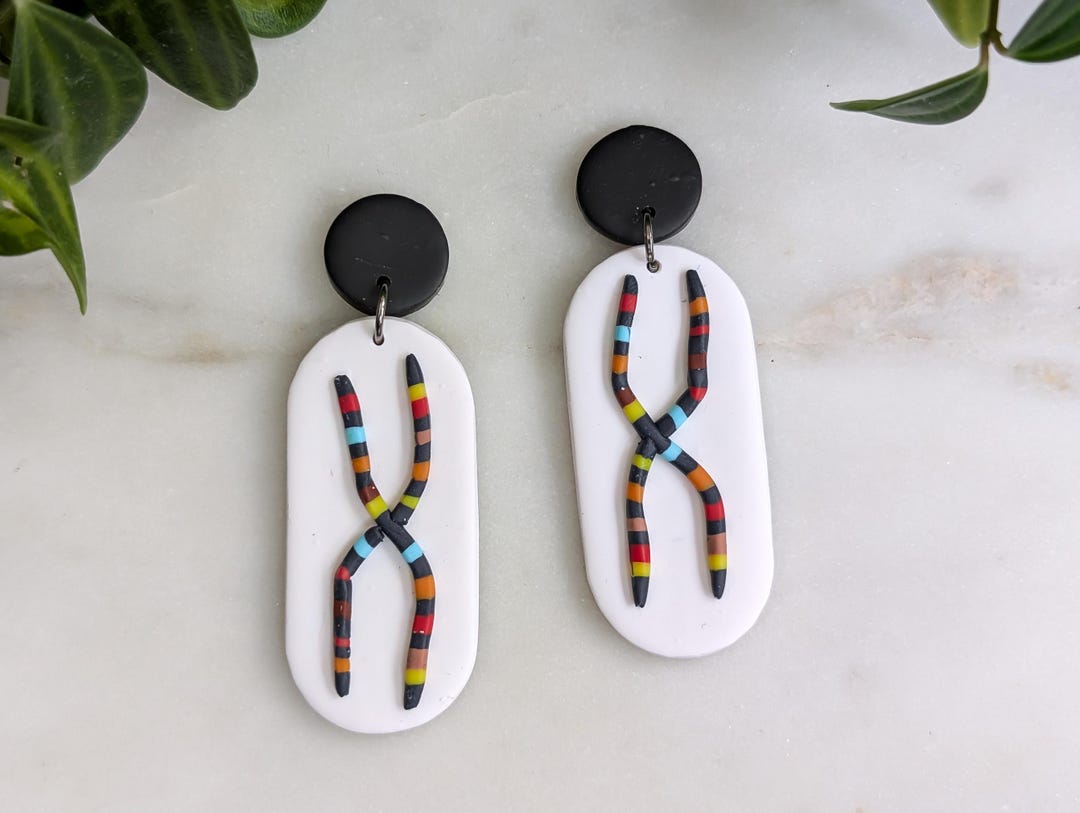Chromosome Earrings | Gift for Women in STEM, Professor, Geneticist ...
