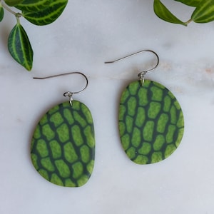 Plant Cells Under the Microscope Earrings, Translucent Leaf with Chloroplasts for Science/Biology Teacher, Hypoallergenic Titanium Earrings