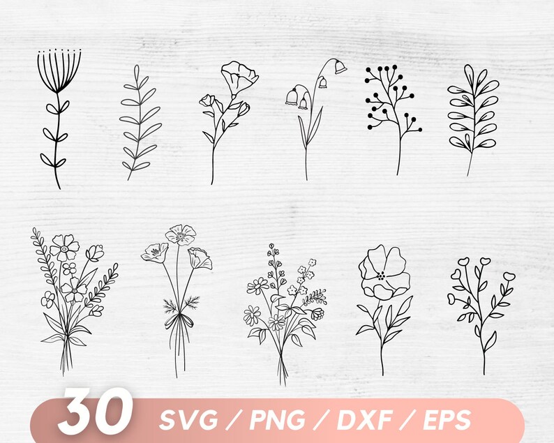 K&ouml;nnte beinhalten: Ein Satz von 10 Schwarzwei&szlig;-Linienzeichnungen von Blumen. Die Illustrationen umfassen verschiedene Blumen, Bl&auml;tter und Stiele. Die Illustrationen eignen sich perfekt f&uuml;r den Einsatz in digitalen Projekten wie Website-Design, Social-Media-Grafiken und druckbarem Kunst.