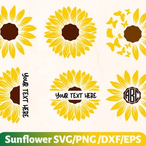 Sunflower svg, Sunflower svg files, Floral svg, half sunflower svg
