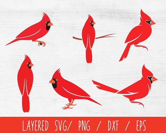 Cardinal Bird Svg Bundle Red Cardinal Bird Svg Memorial Svg - Etsy