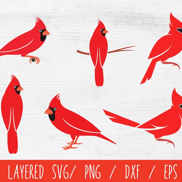 Cardinal Bird svg Bundle, Red Cardinal bird svg, Memorial svg, Christmas clipart, Christmas bird svg