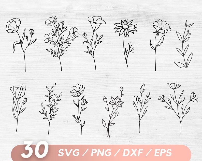 K&ouml;nnte beinhalten: Ein Set mit 30 Schwarzwei&szlig;-Linienzeichnungen von Blumen in den Formaten SVG, PNG, DXF und EPS. Die Blumen sind einfach und zart, mit einer Vielzahl von Formen und Gr&ouml;&szlig;en.