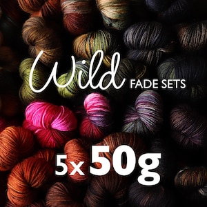 5x50g Wild Fade Set – Pure Merino – Hand Dyed Superwash Merino