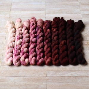 Botanical Fade Set (Columbine) – 10x20g PURE Merino minis – Hand Dyed Superwash Merino