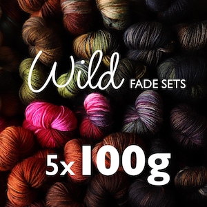 5x100g Wild Fade Set – Pure/Twisty merino – Hand Dyed Superwash Merino