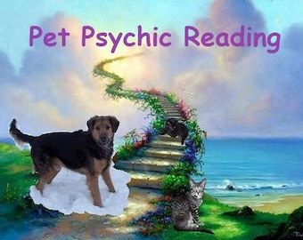 Pet Psychic Reading: 3 Questions, Talk with Living or Passed Pets All Issues