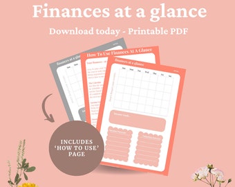 Finances At A Glance INSTANT DOWNLOAD, Digital Finance Tracker for Small Business Owners, Monthly Income Goals and Expense Forecast PDF