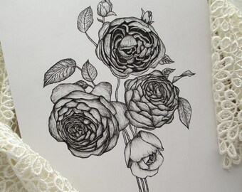 Peony Flower Illustration Giclee Print