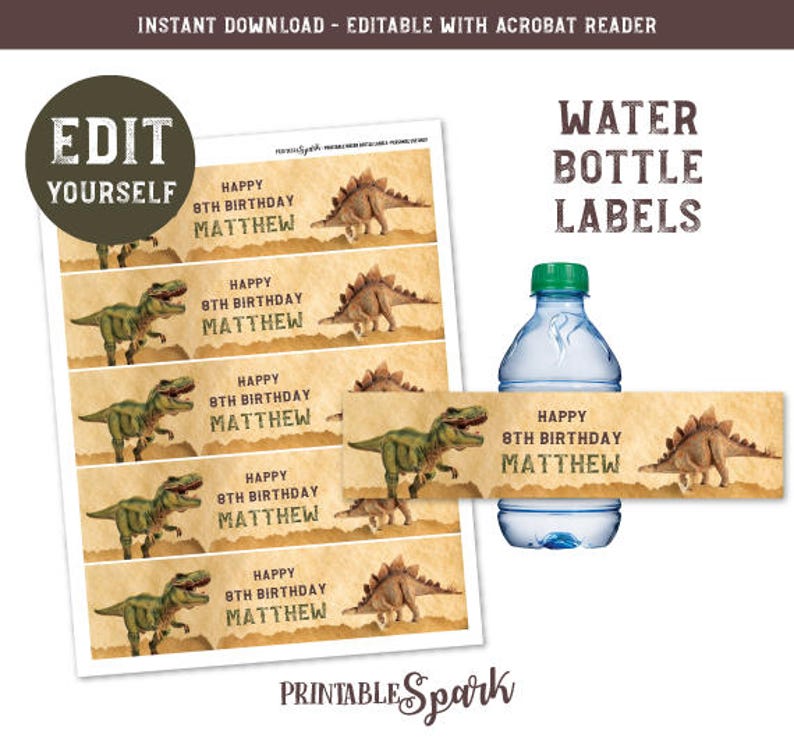 dinosaur-water-bottle-labels-instant-download-editable-etsy