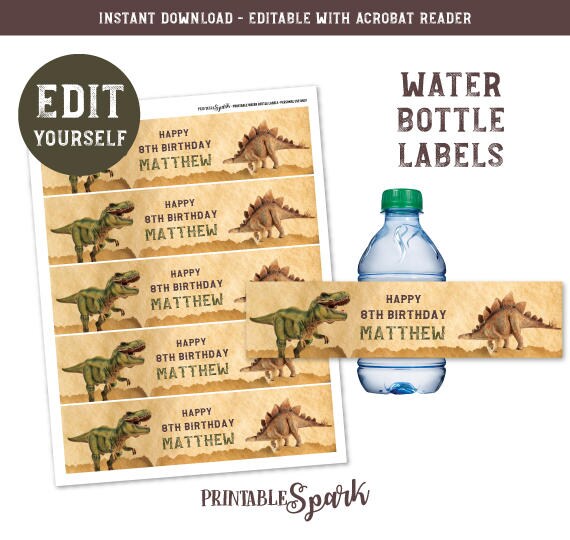 Dinosaur Water Bottle Labels INSTANT DOWNLOAD EDITABLE Etsy