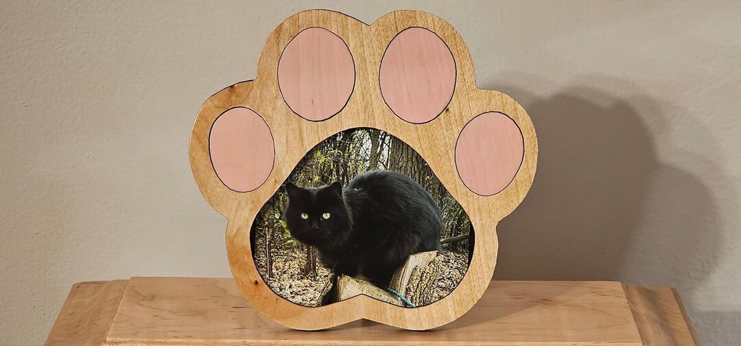 Cat / Kitten Paw Picture Frame - Etsy