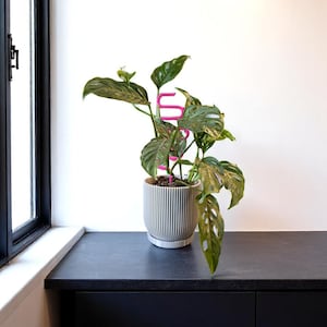 Aspire Planter, Planter, Plant Pot, Indoor Planter, Outdoor Planter, Plants, 3D print, small planter, large planter, medium planter