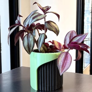 3D Printed Mid-Century Modern Planter Set: PETG Indoor/Outdoor Plant Pots