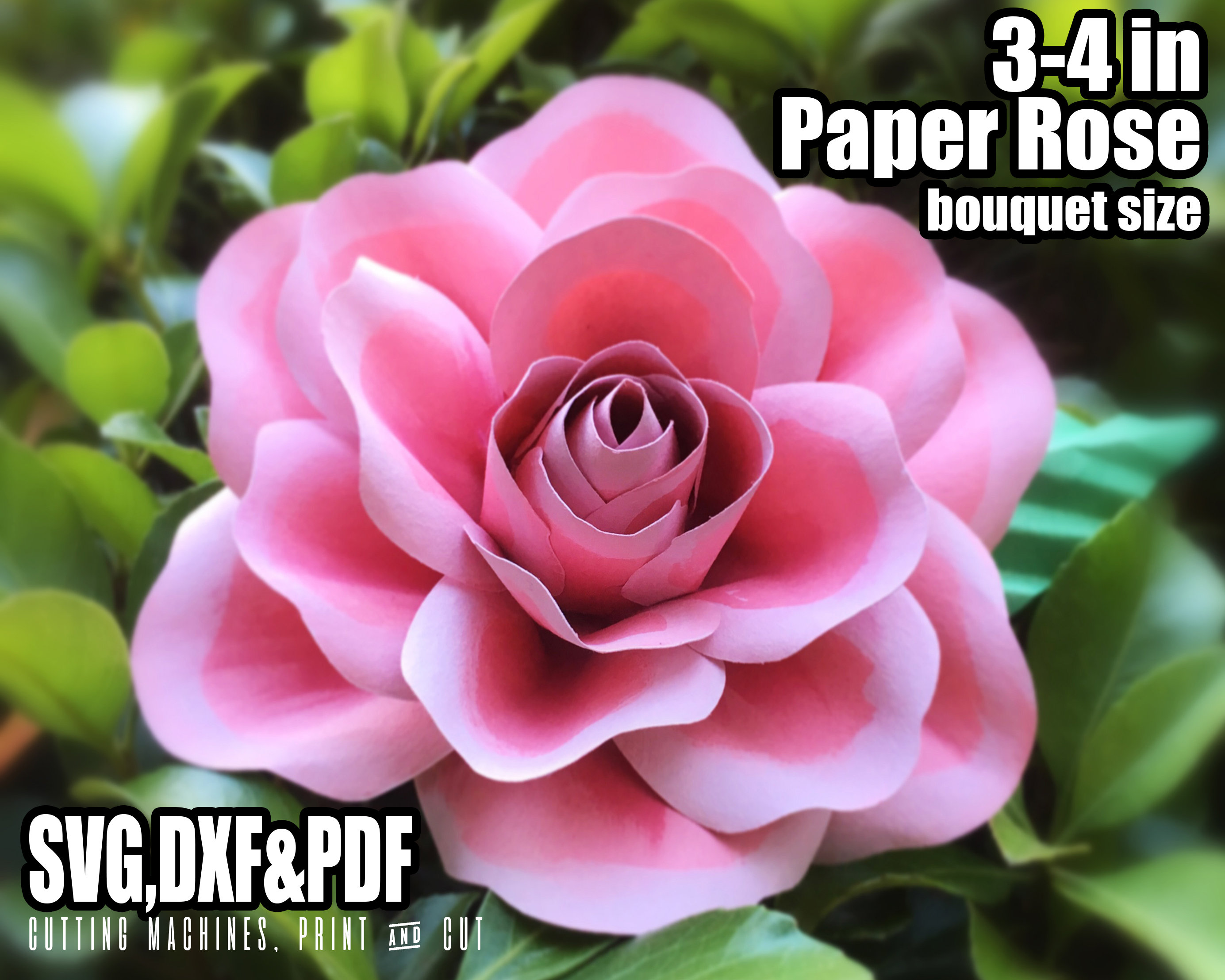 Free Free 135 Svg Cut Out Cricut Flower Template SVG PNG EPS DXF File
