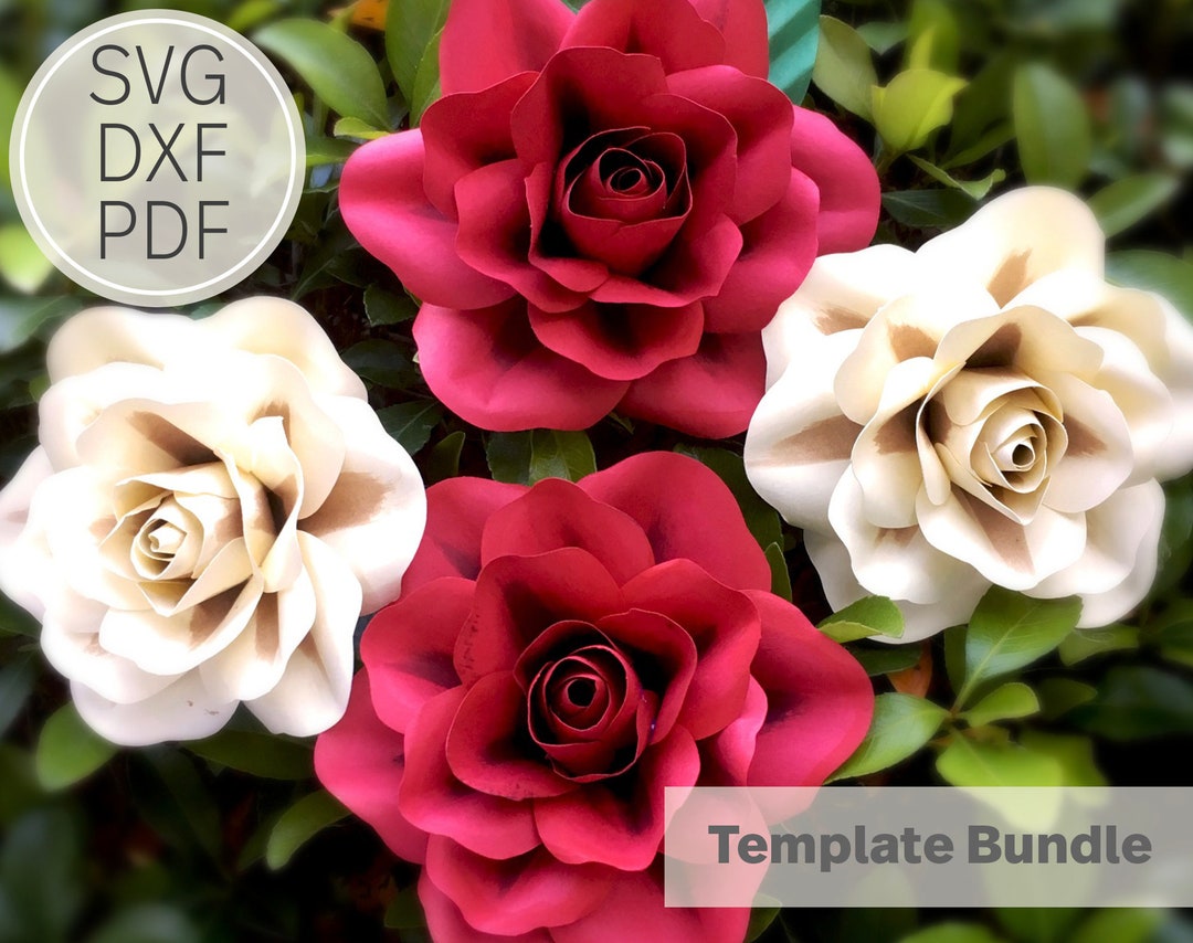 3-4 Inches Gardenia Paper Flower Rose Template| SVG, DXF PDF